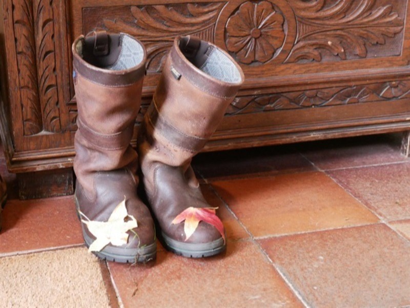 P1130038previewjpeg boots - C